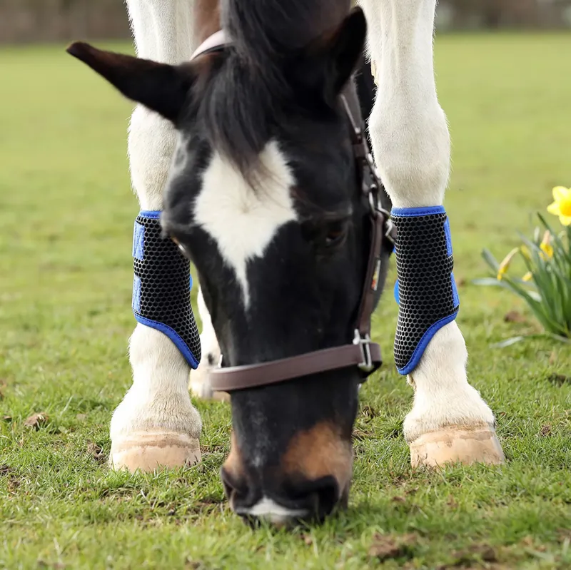 Equilibrium Tri-Zone Brushing Boots - Royal Blue-2