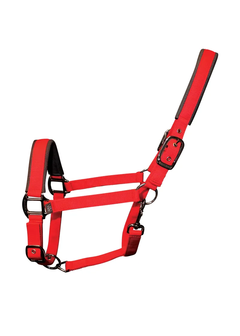Woof Wear Contour Head Collar - Royal Red