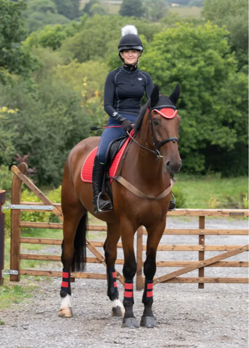 Woof Wear Club Brushing Boot - Royal Red-1