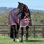 WeatherBeeta ComFiTec Essential 360g Combo Neck Rug - Plum/Orange