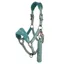 LeMieux Vogue Headcollar and Leadrope - Sage