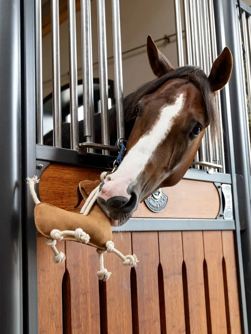 LeMieux Horse Toy - Sausage Dog-3