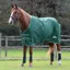 Saxon Defiant 1200D 200g Turnout Rug Standard Neck - Hunter Green/White