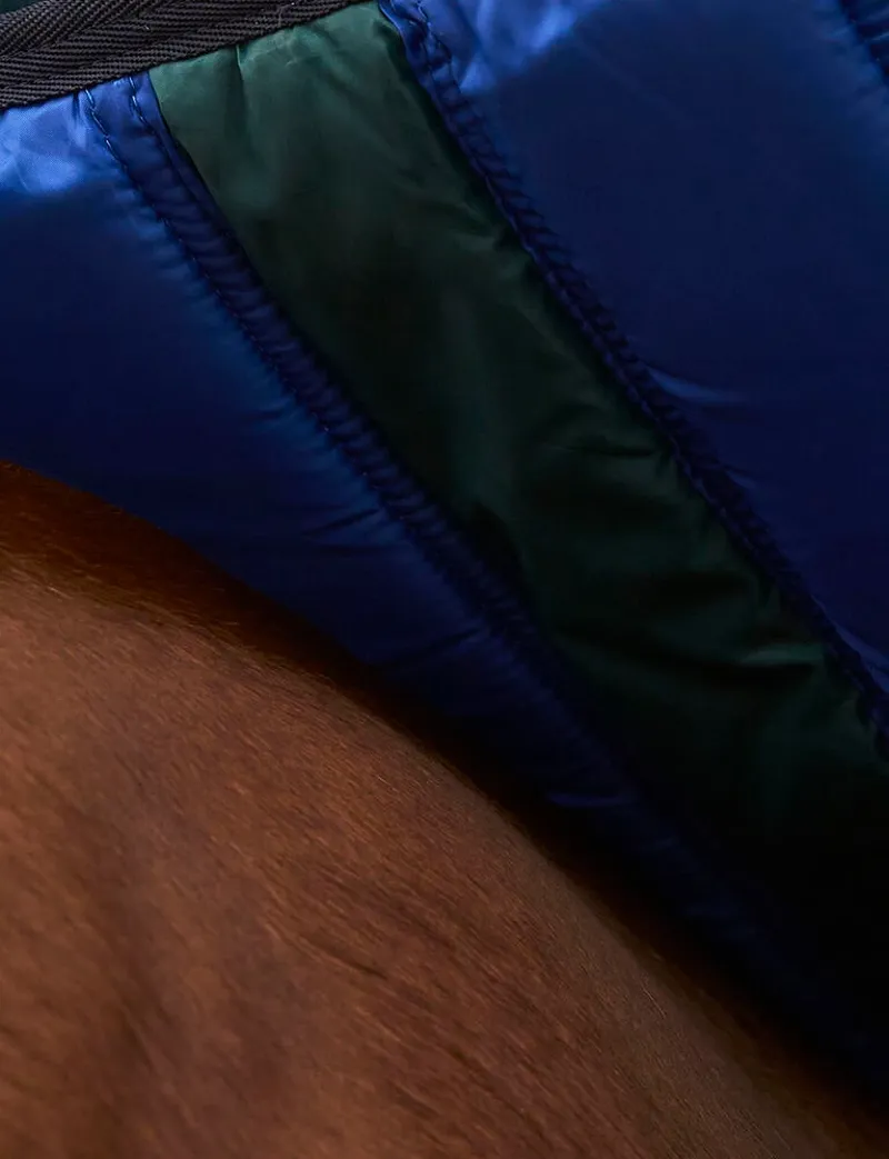 WeatherBeeta ComFiTec Plus 100G Dynamic Turnout Rug - Forest Green-4