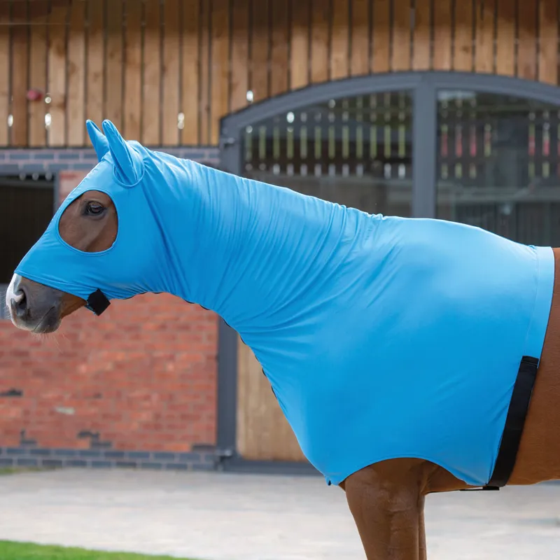 Shires Stretch Hood with Full Face