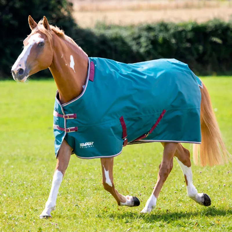 Shires Tempest Original 200g Turnout Rug and Neck Set - Green-3
