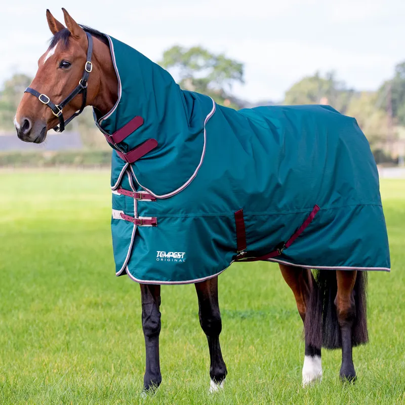 Shires Tempest Original 200g Turnout Rug and Neck Set - Green-1