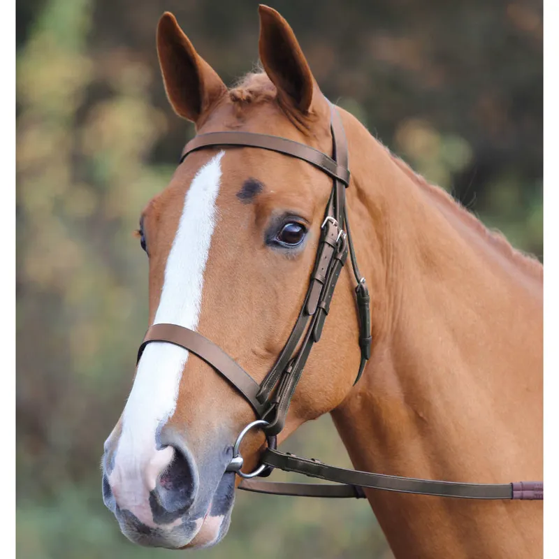 Shires Velociti GARA Plain Bridle - Havana-1