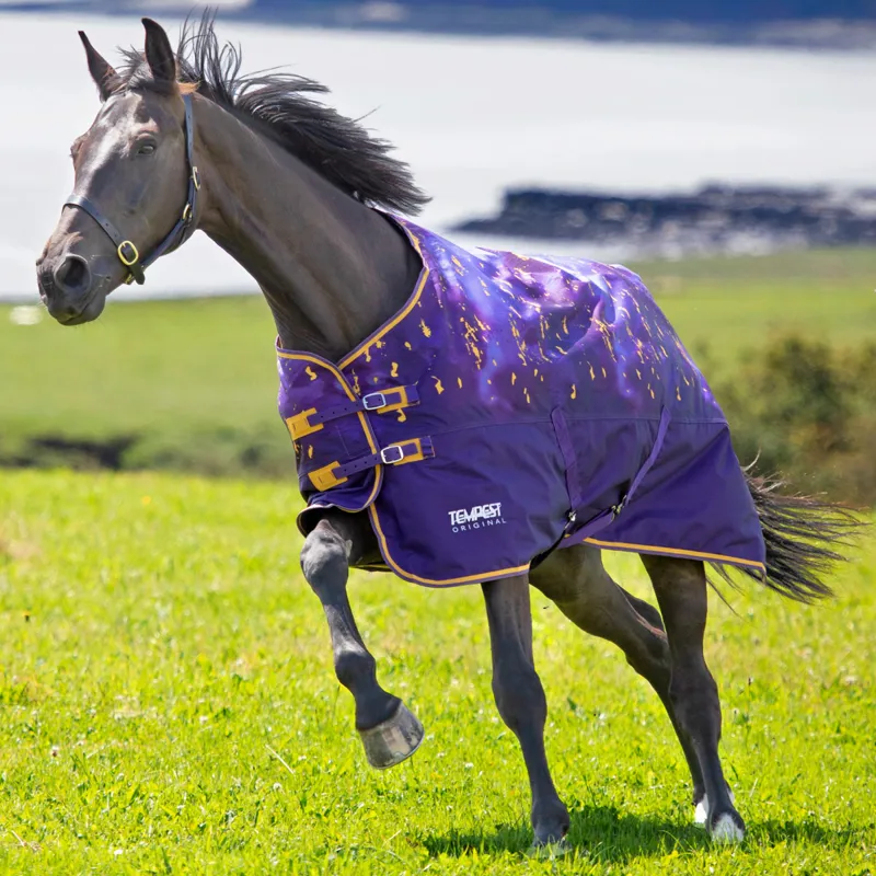 Shires Tempest Original Lite 0g Turnout Rug - Amethyst
