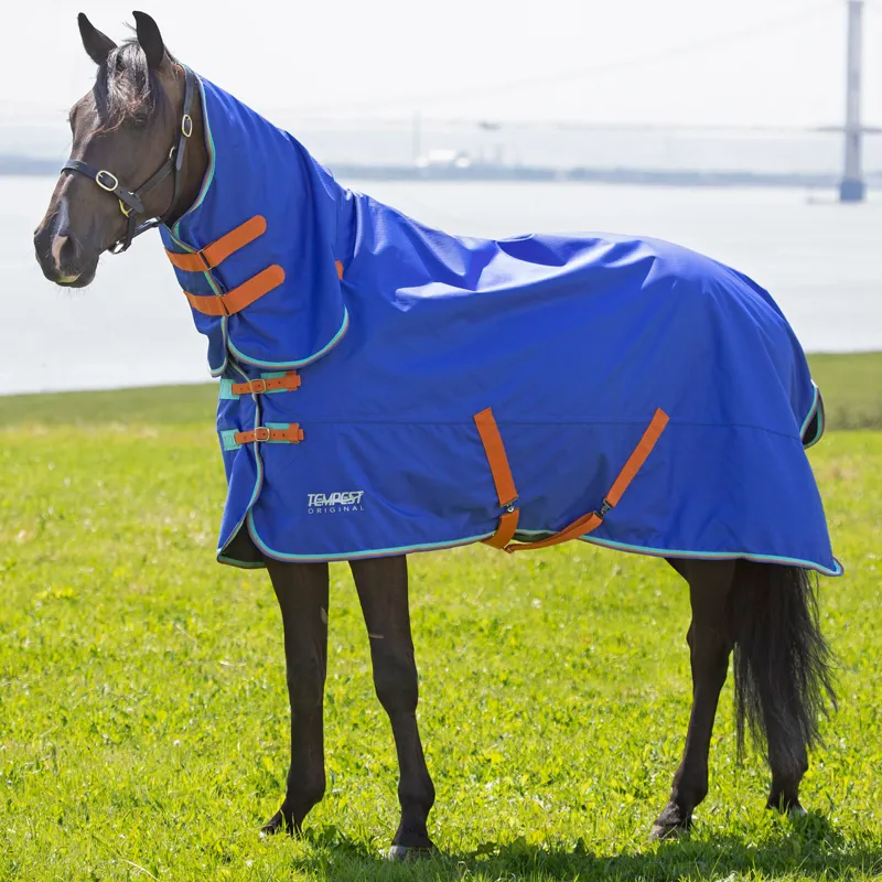 Shires Tempest Original 50g Combo Turnout Rug - Royal-1