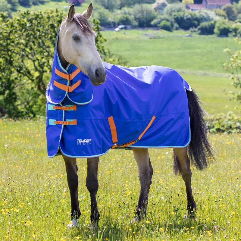 Shires Tempest Original 50g Combo Turnout Rug - Royal