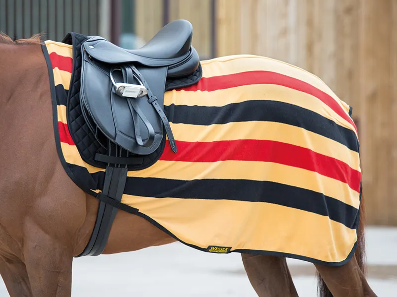 Shires Tempest Original Fleece Exercise Sheet-1