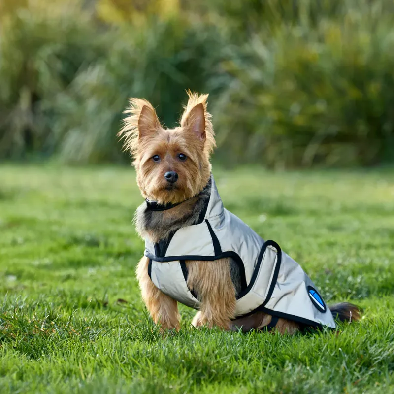 WeatherBeeta ComFiTec Reflective Showerproof Dog Coat - Silver-1