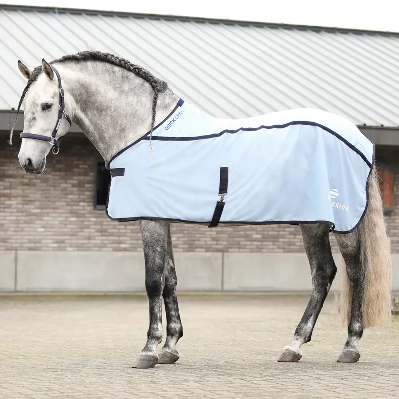 Equilibrium Quick Chill Cool Rug - Light Blue