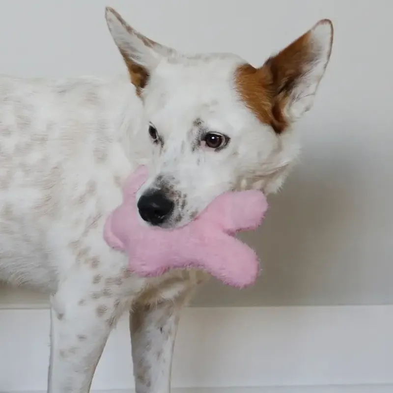 KONG Snuzzles Kiddos - Bunny-2