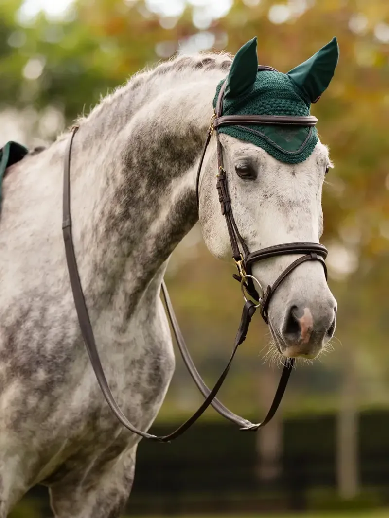 LeMieux Classic Fly Hood - Spruce-1