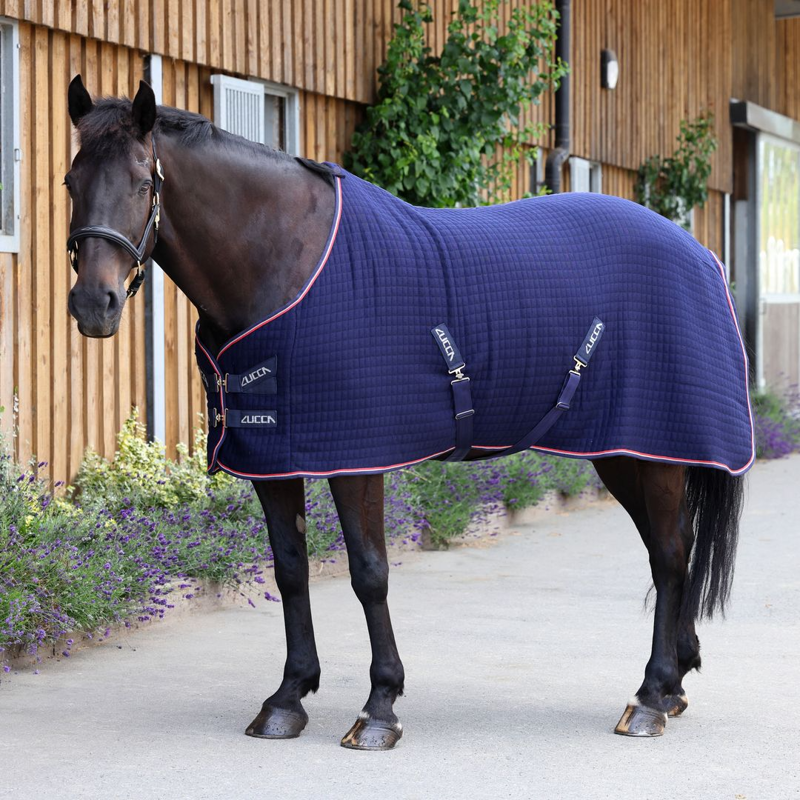 LUCCA Wicking Cooler Rug - Navy