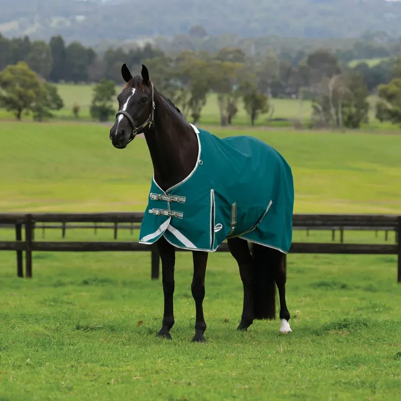 WeatherBeeta ComFiTec Plus Dynamic II 0g Standard Turnout Rug - Teal Green