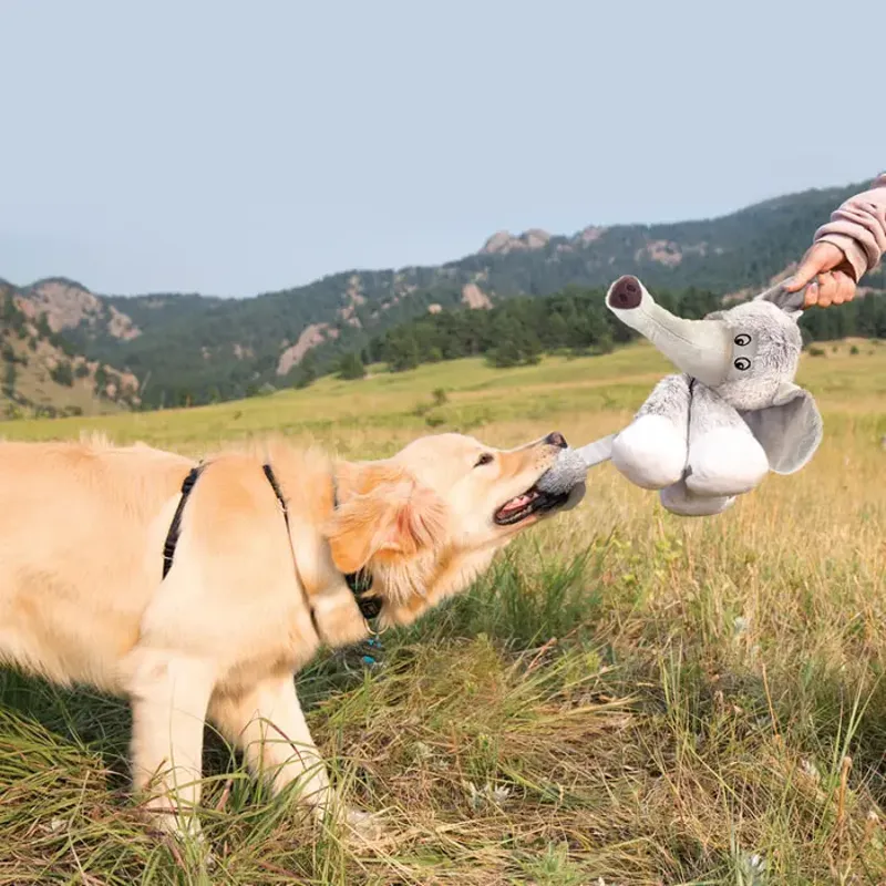 KONG Stretchezz Legz - Bear-2