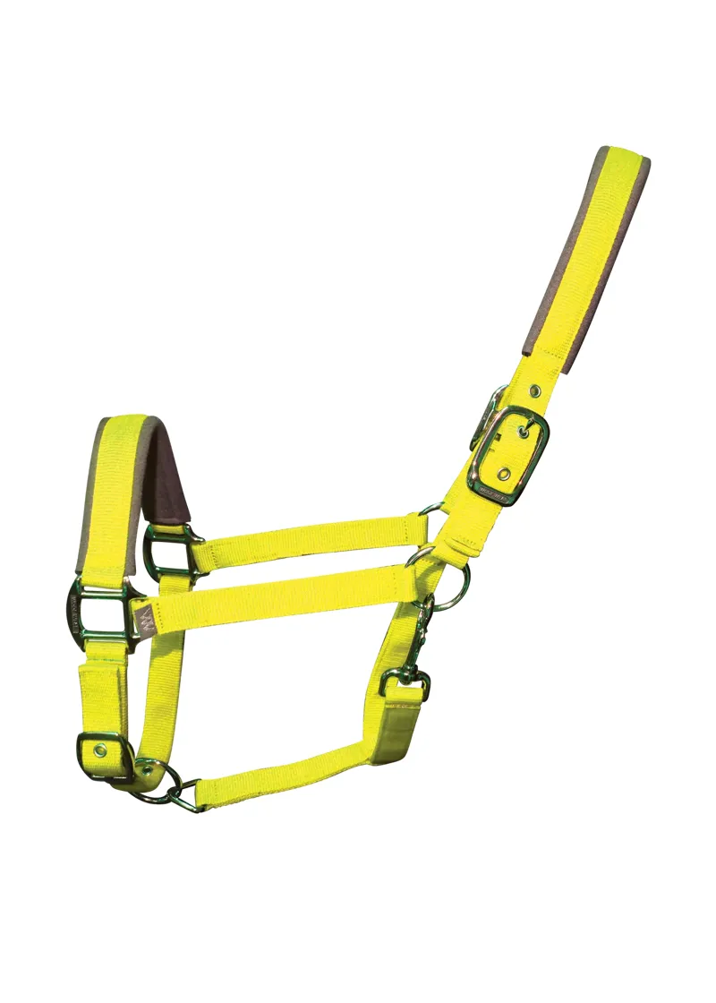 Woof Wear Contour Head Collar - Sunshine Yellow