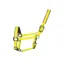Woof Wear Contour Head Collar - Sunshine Yellow