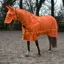 John Whitaker Swot Fly Rug and Mask - Orange
