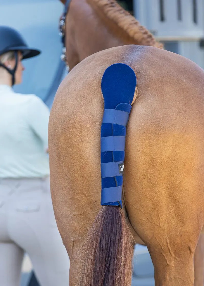 Woof Wear Tail Guard - Navy -1