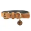 Benji and Flo Noble Suede Dog Collar - Tan/Gold