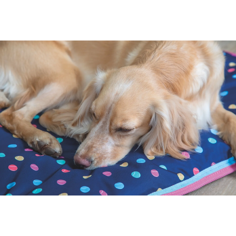 Shires Digby and Fox Waterproof Dog Bed - Tennis Ball-1