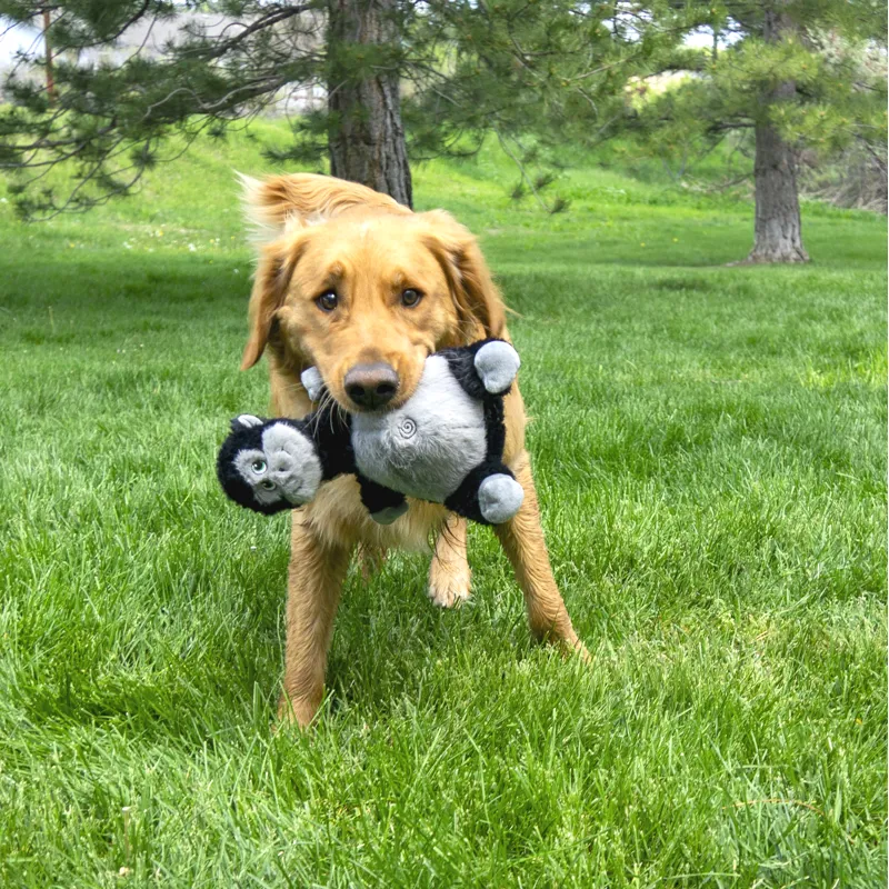 KONG Knots Belly Gorilla -2