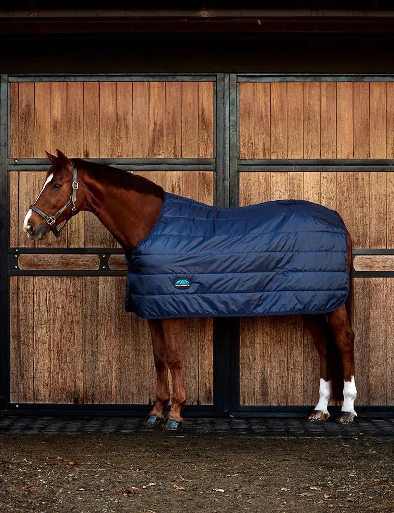 WeatherBeeta ComFiTec Thermi-Heat Liner 100g - Navy 