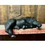 Carol Rogers Hand Made Decorative Ceramic Small Horse Model - Black