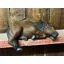 Carol Rogers Hand Made Decorative Ceramic Small Horse Model - Bay