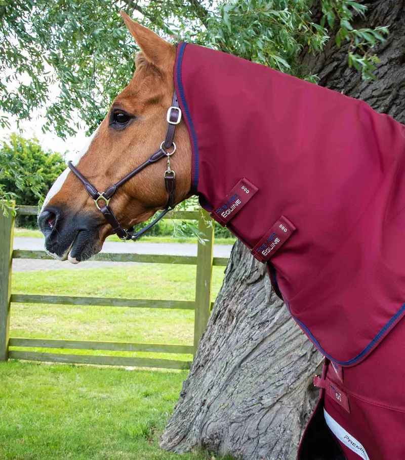 Premier Equine Titan 50g Turnout Rug with Classic Neck Cover - Burgundy-1