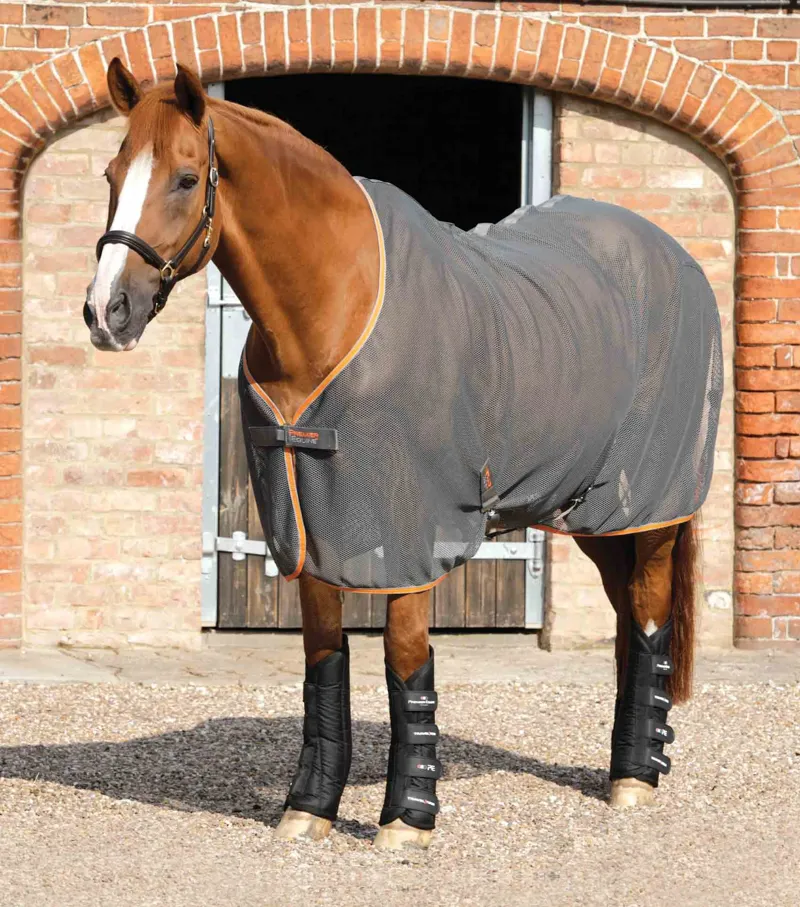 Premier Equine Travel-Tech Travel Boots - Black-1