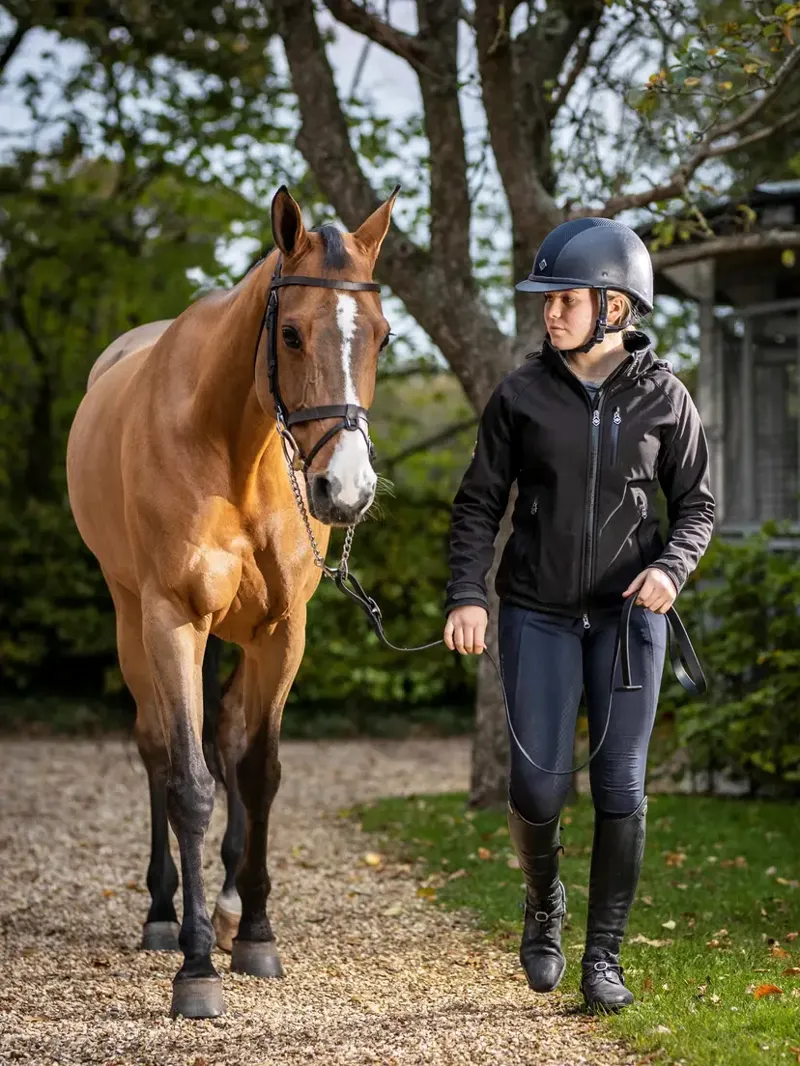 LeMieux Leather Trot Up Chain - Black-1
