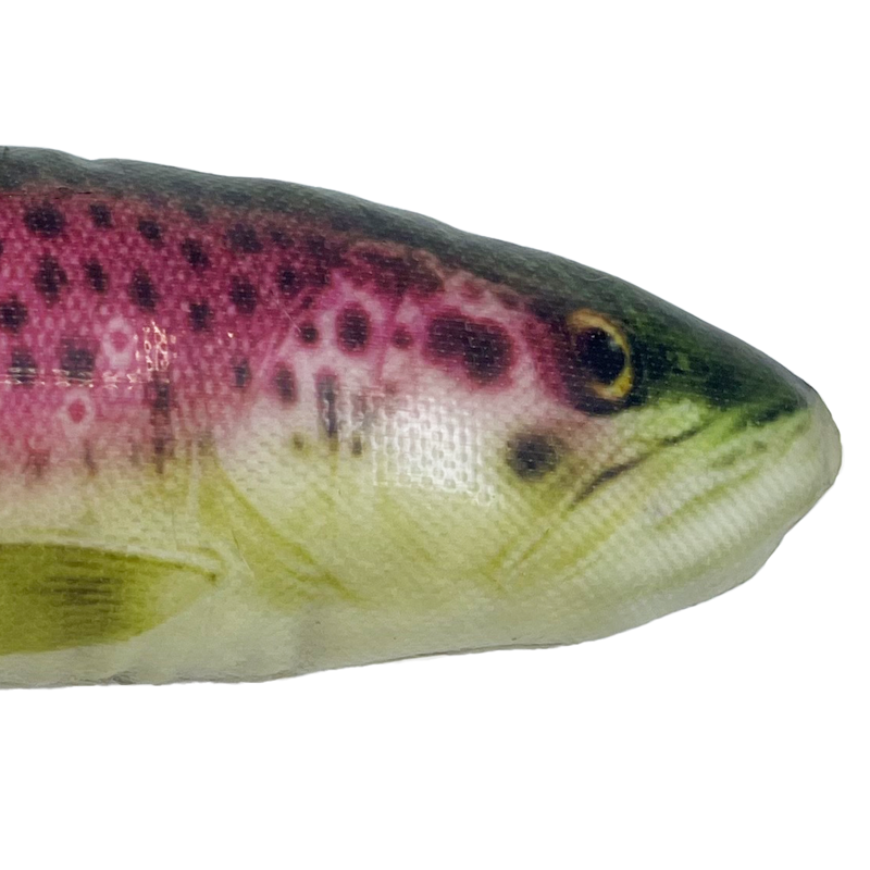 KONG Wild Shieldz  - Trout -4