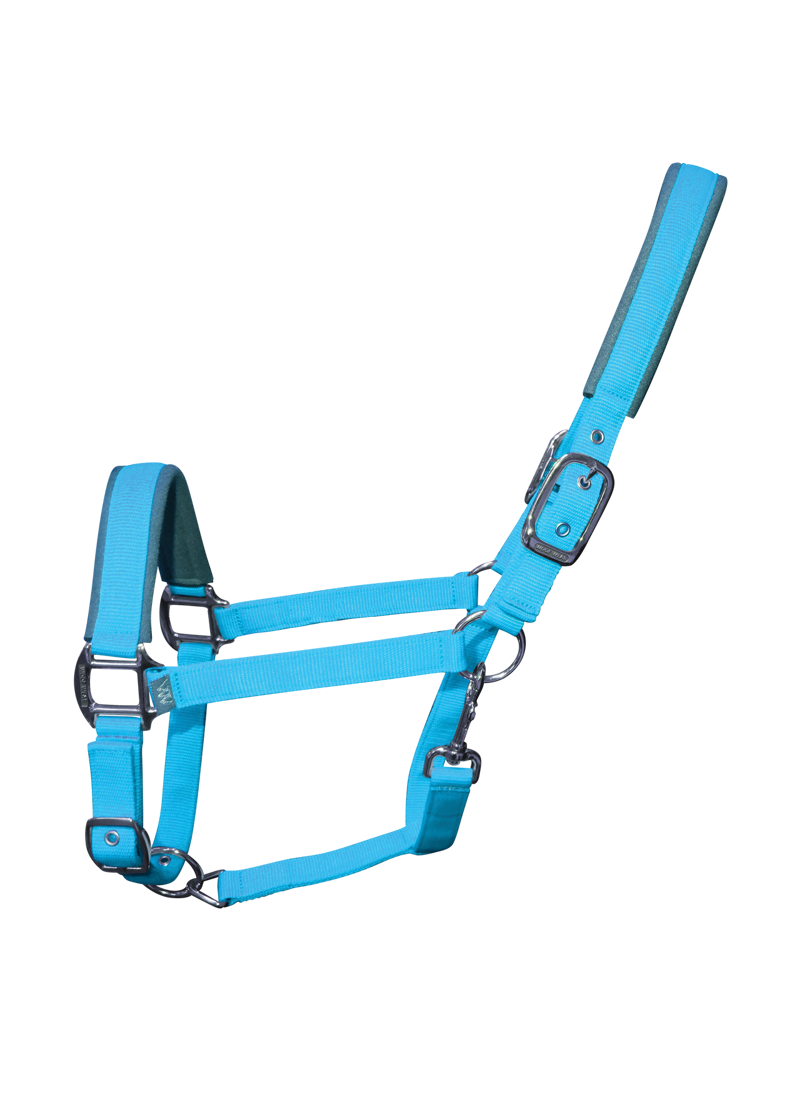 Woof Wear Contour Head Collar - Turquoise