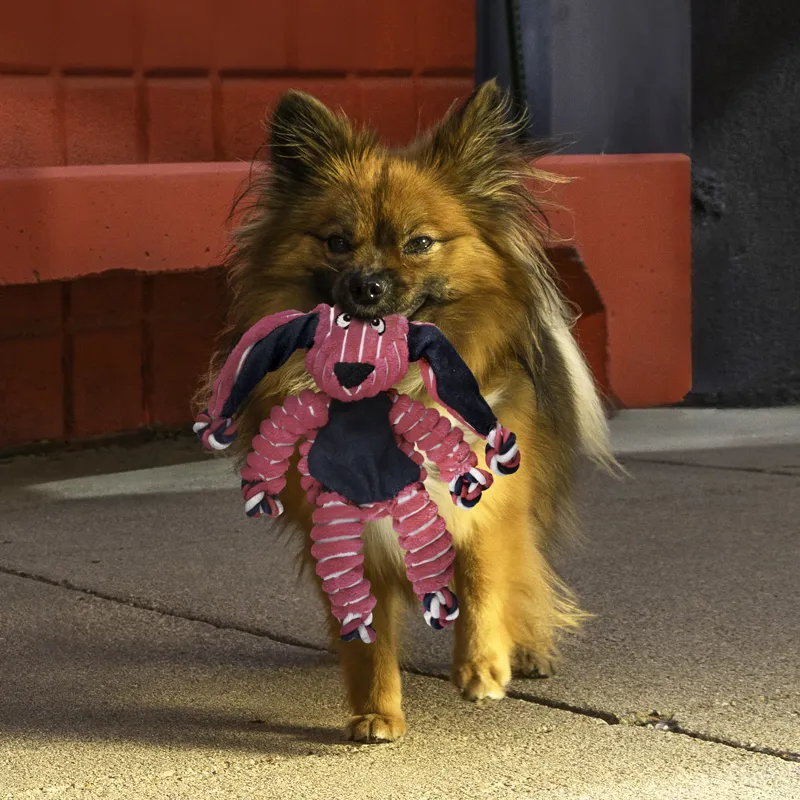 KONG Floppy Knots Bunny - Small/ Medium-2