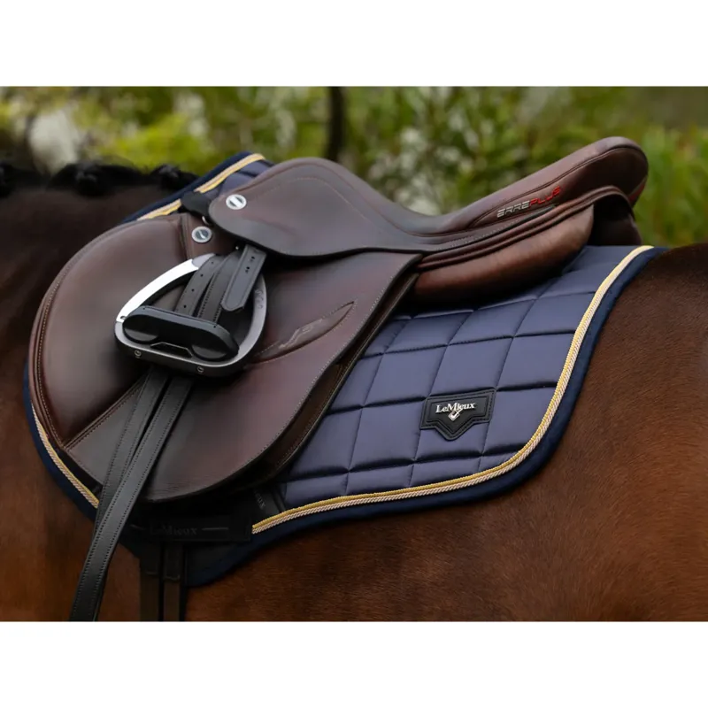 LeMieux Loire Fly Hood - Aqua