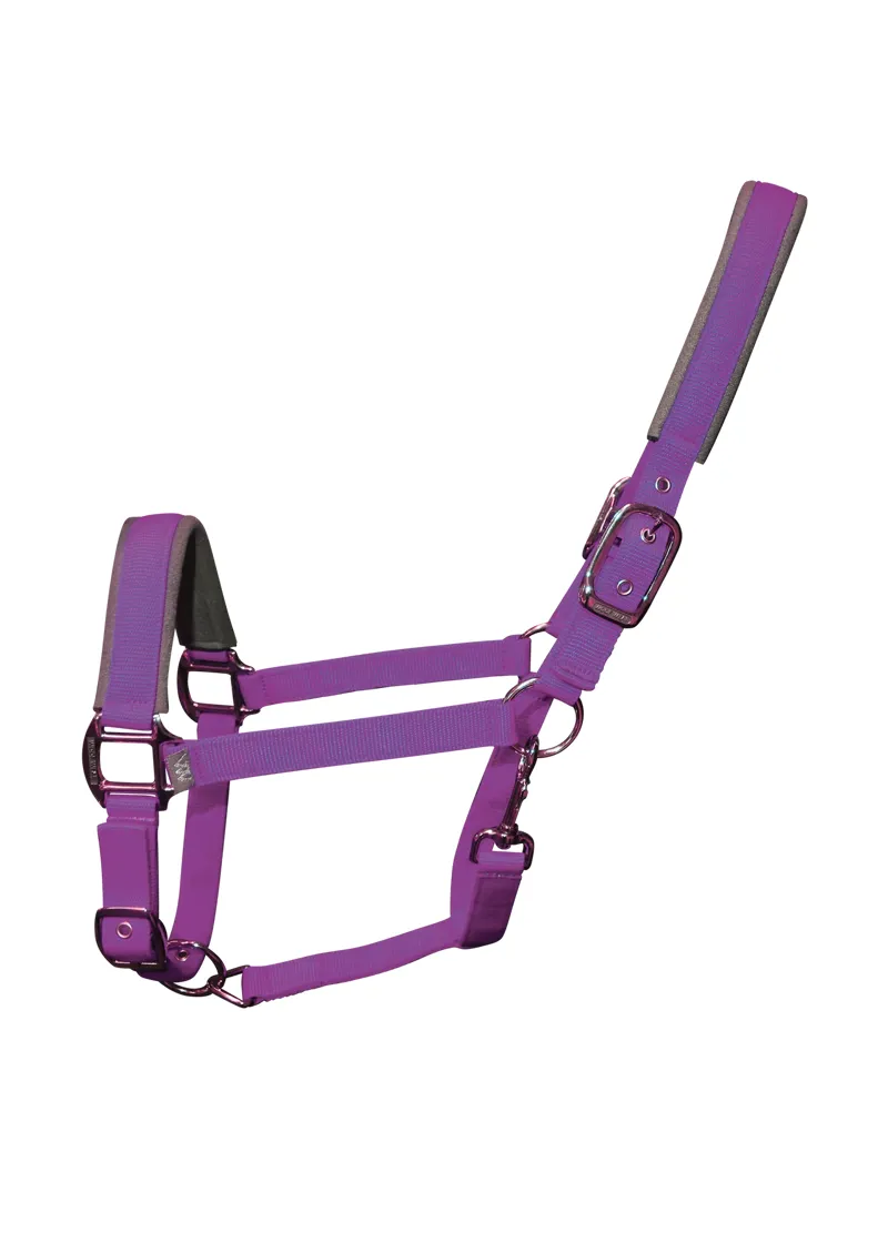 Woof Wear Contour Head Collar - Ultra Violet
