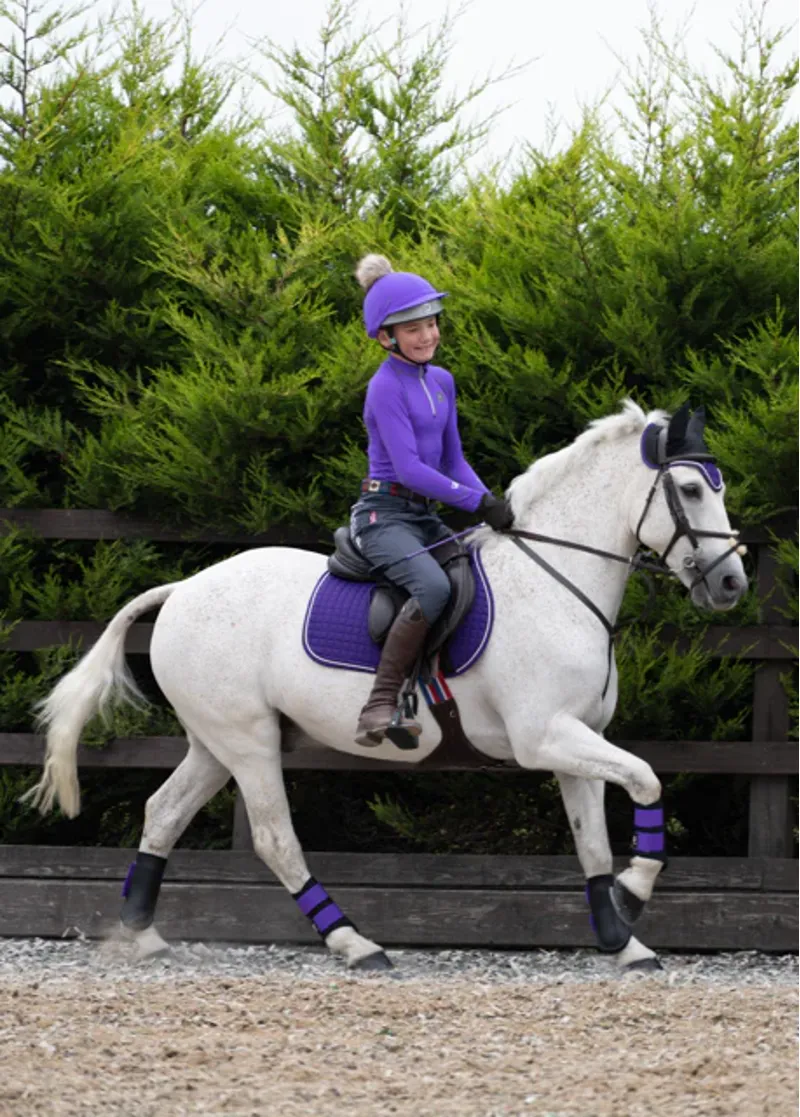 Woof Wear Club Brushing Boot - Ultra Violet-1