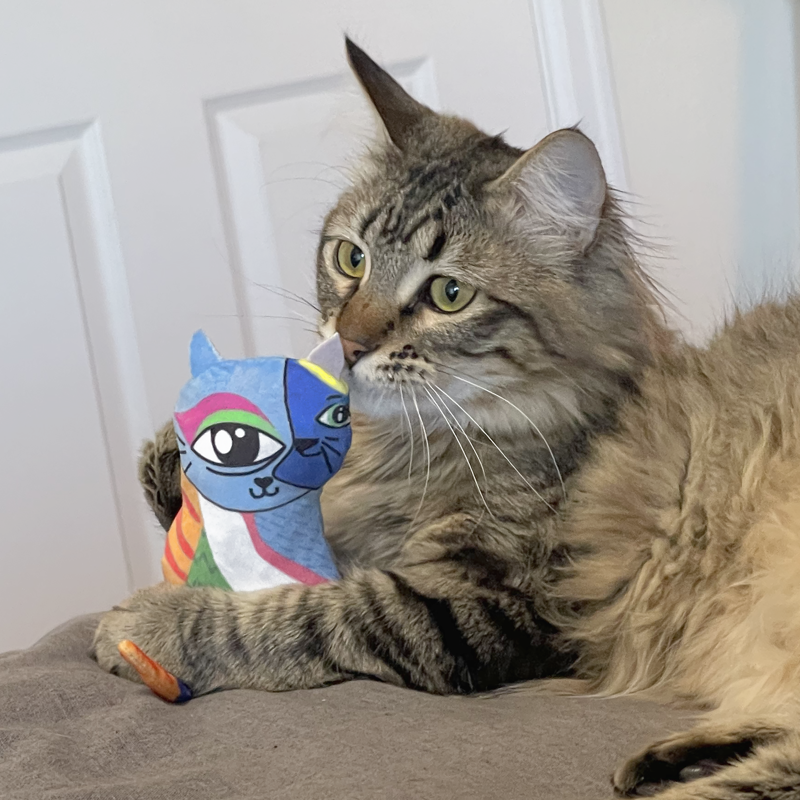 KONG Cat Artz Kahlo and Picasso - 2 pack -2