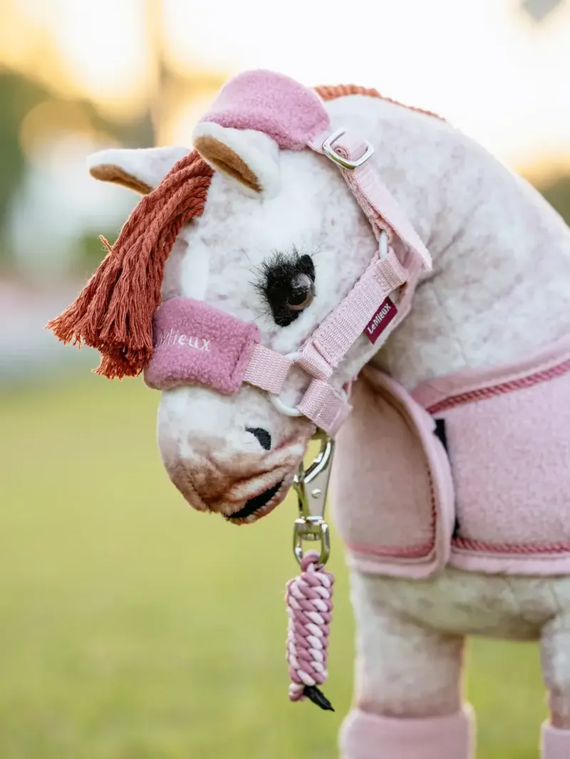 LeMieux Toy Pony Vogue Headcollar and Leadrope - Blossom-1