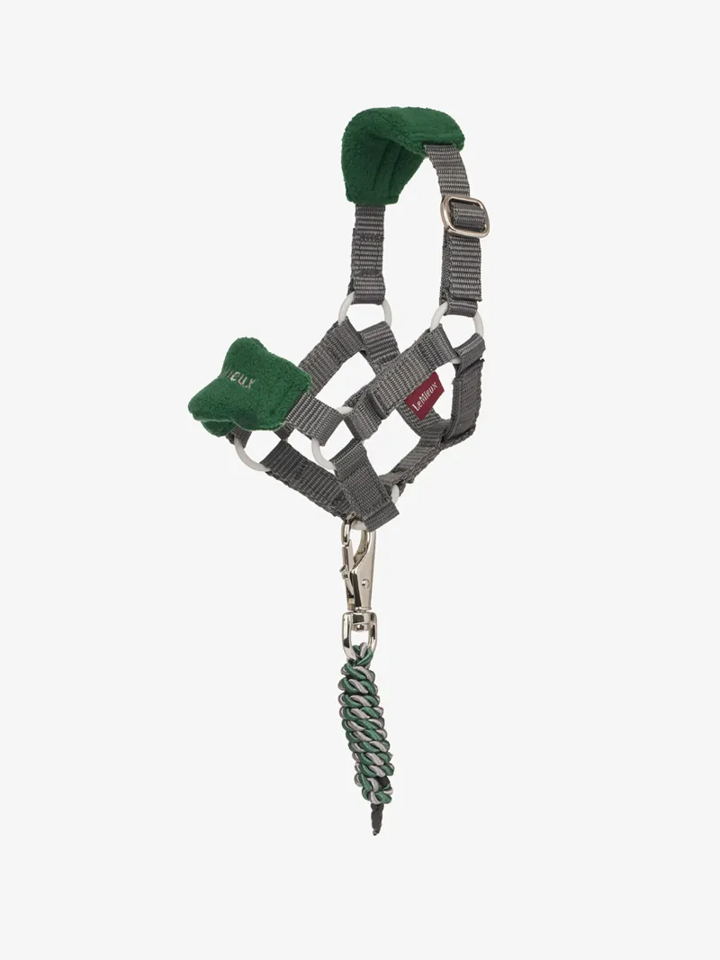 LeMieux Toy Pony Vogue Headcollar and Leadrope - Hunter Green