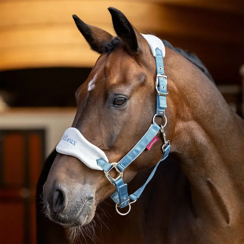 LeMieux Vogue Headcollar and Leadrope - Ice Blue-1