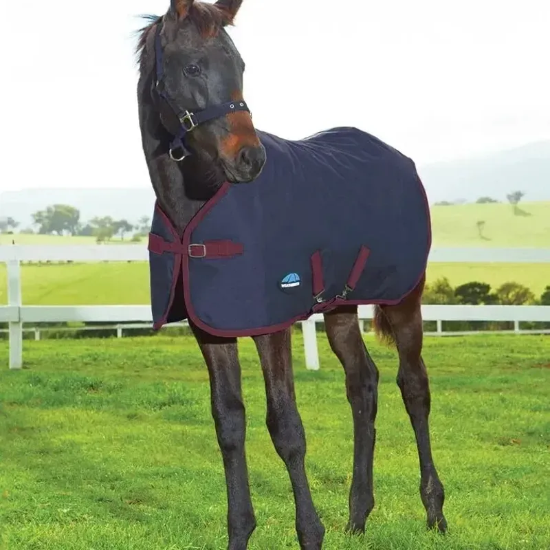 WeatherBeeta 1200D Foal 220g Standard Neck Turnout Rug - Navy/Burgundy