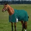 WeatherBeeta ComFiTec 220G Plus Dynamic Turnout Rug - Forest Green