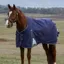 WeatherBeeta ComFiTec 220G Plus Dynamic Turnout Rug - Navy