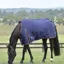 WeatherBeeta ComFiTec 50g Essential Turnout Rug - Navy/Burgundy